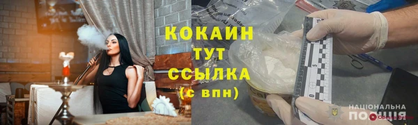 стафф Алексин