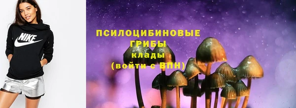 ГАЛЛЮЦИНОГЕННЫЕ ГРИБЫ Алзамай