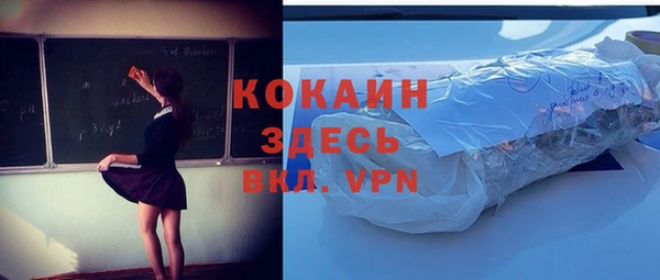 гидра Алексеевка