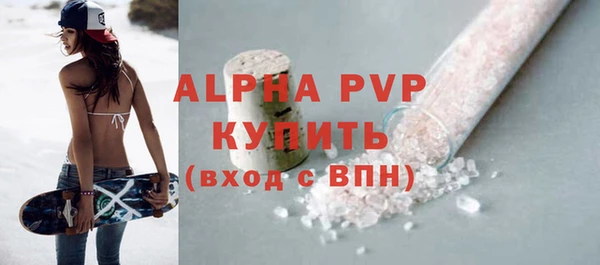 стафф Алексин