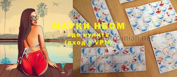 стафф Алексин