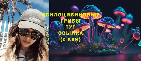 гидра Алексеевка