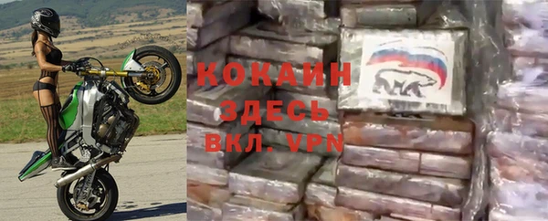 стафф Алексин