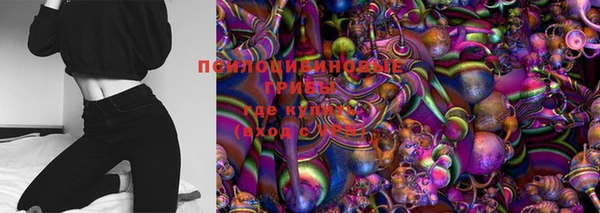 ГАЛЛЮЦИНОГЕННЫЕ ГРИБЫ Алзамай