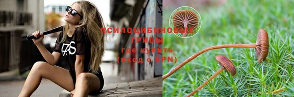 ГАЛЛЮЦИНОГЕННЫЕ ГРИБЫ Алзамай