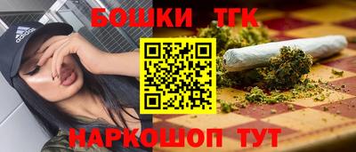 прущие крисы Камышлов