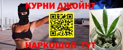 прущие крисы Камышлов