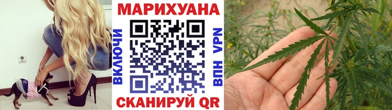 Каннабис OG Kush Сафоново
